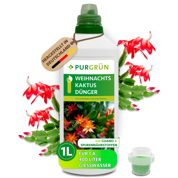 Purgrn Weihnachtskaktus-Dnger 1 Liter