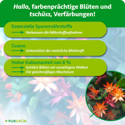 Weihnachtskaktus-Dünger 1 Liter