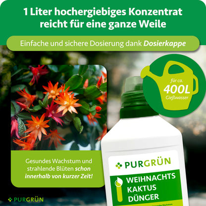 Weihnachtskaktus-Dünger 1 Liter