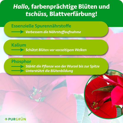 Weihnachtsstern-Dünger 1 Liter