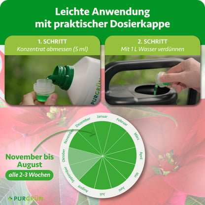 Weihnachtsstern-Dünger 1 Liter