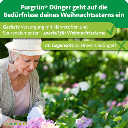 Weihnachtsstern-Dünger 1 Liter