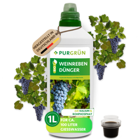 Eine 1-Liter-Flasche Purgrün Bio-Weinreben-Dünger ist abgebildet, dahinter Trauben und Weinreben. Das Etikett weist NPK 3+2+6 aus, ist in Deutschland hergestellt, organisch-mineralisch und für ca. 100 Liter Wasser geeignet.