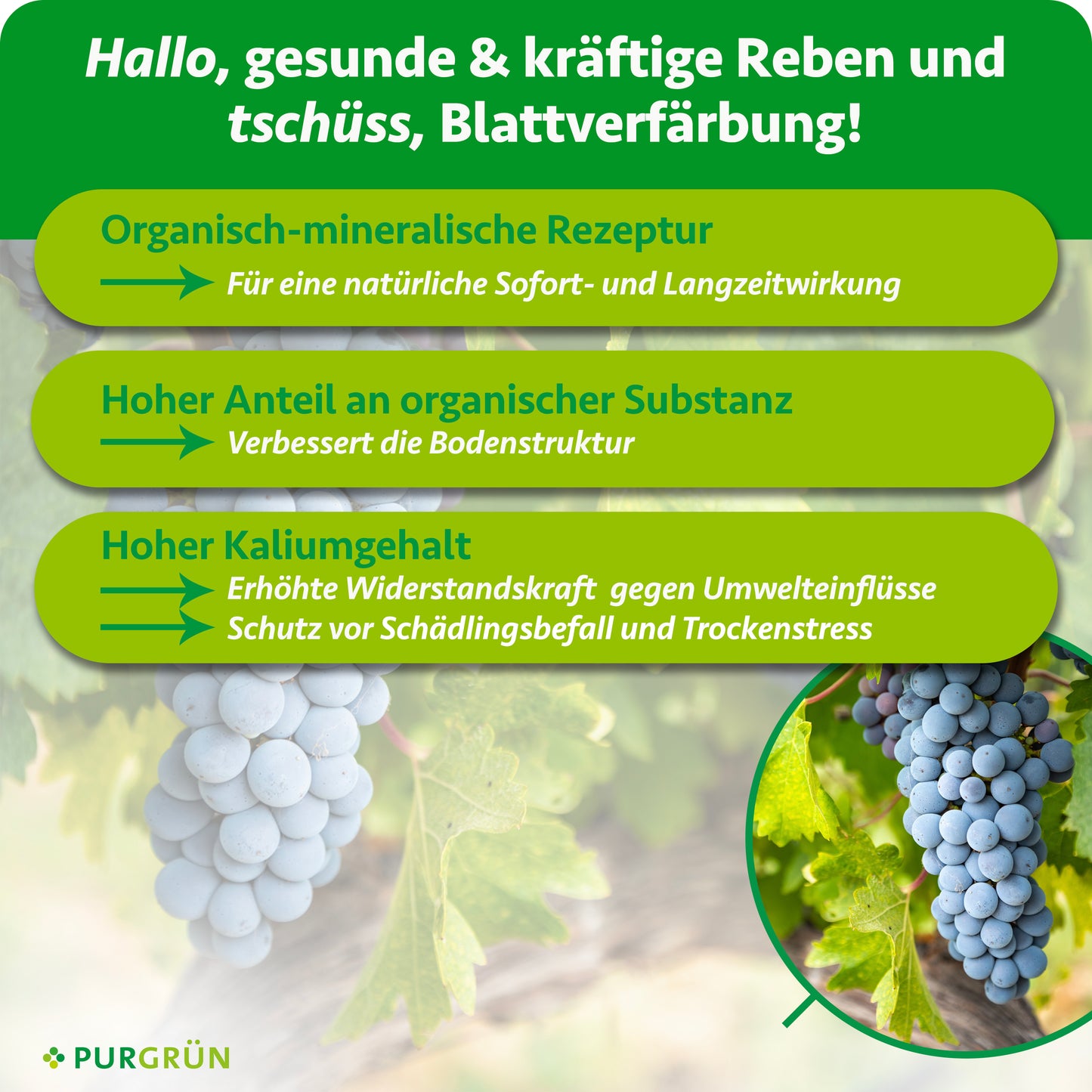 Bio-Weinreben-Dünger 1 Liter