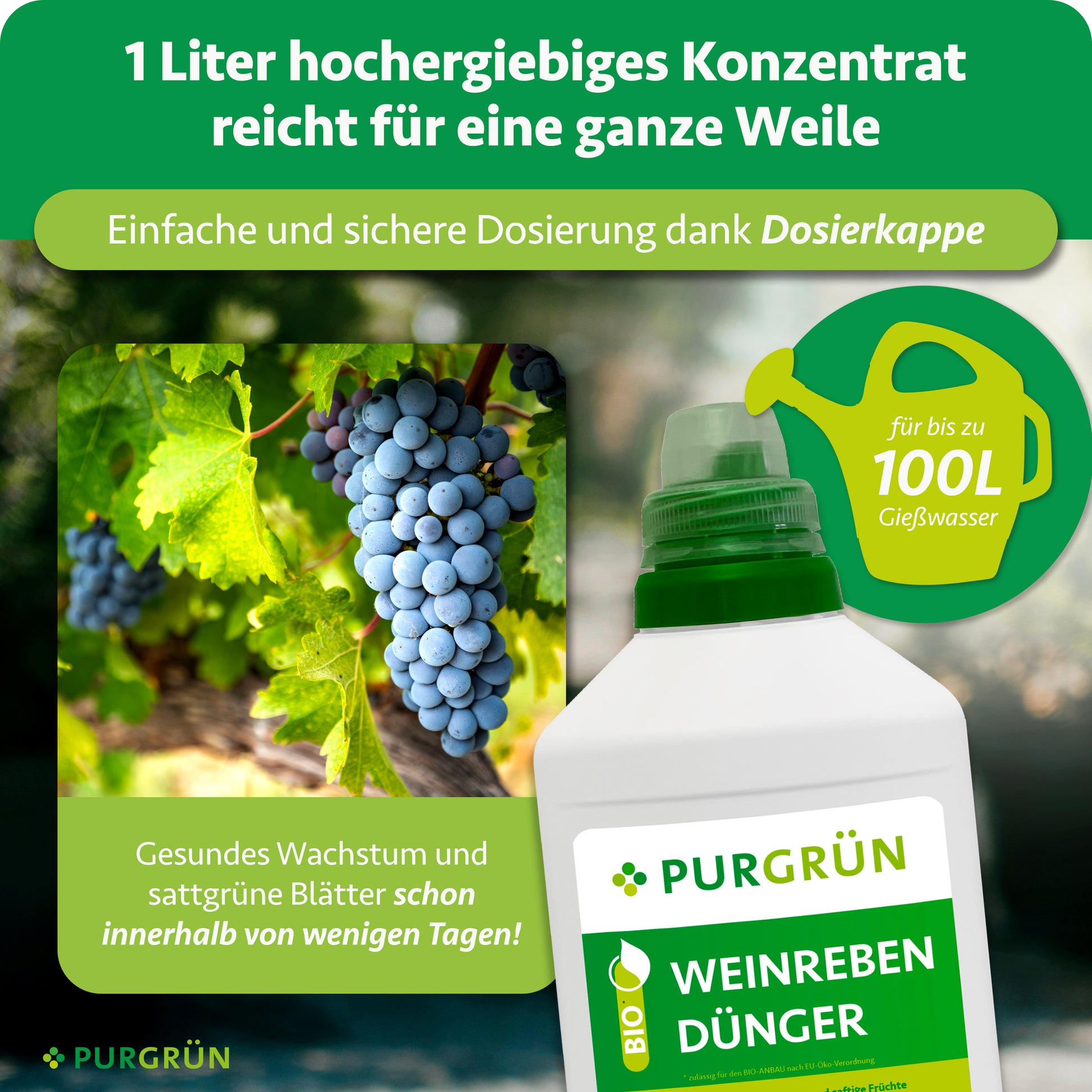 dünger für weinreben im kübel Purgrün Bio-Weinreben-Dünger 1 Liter