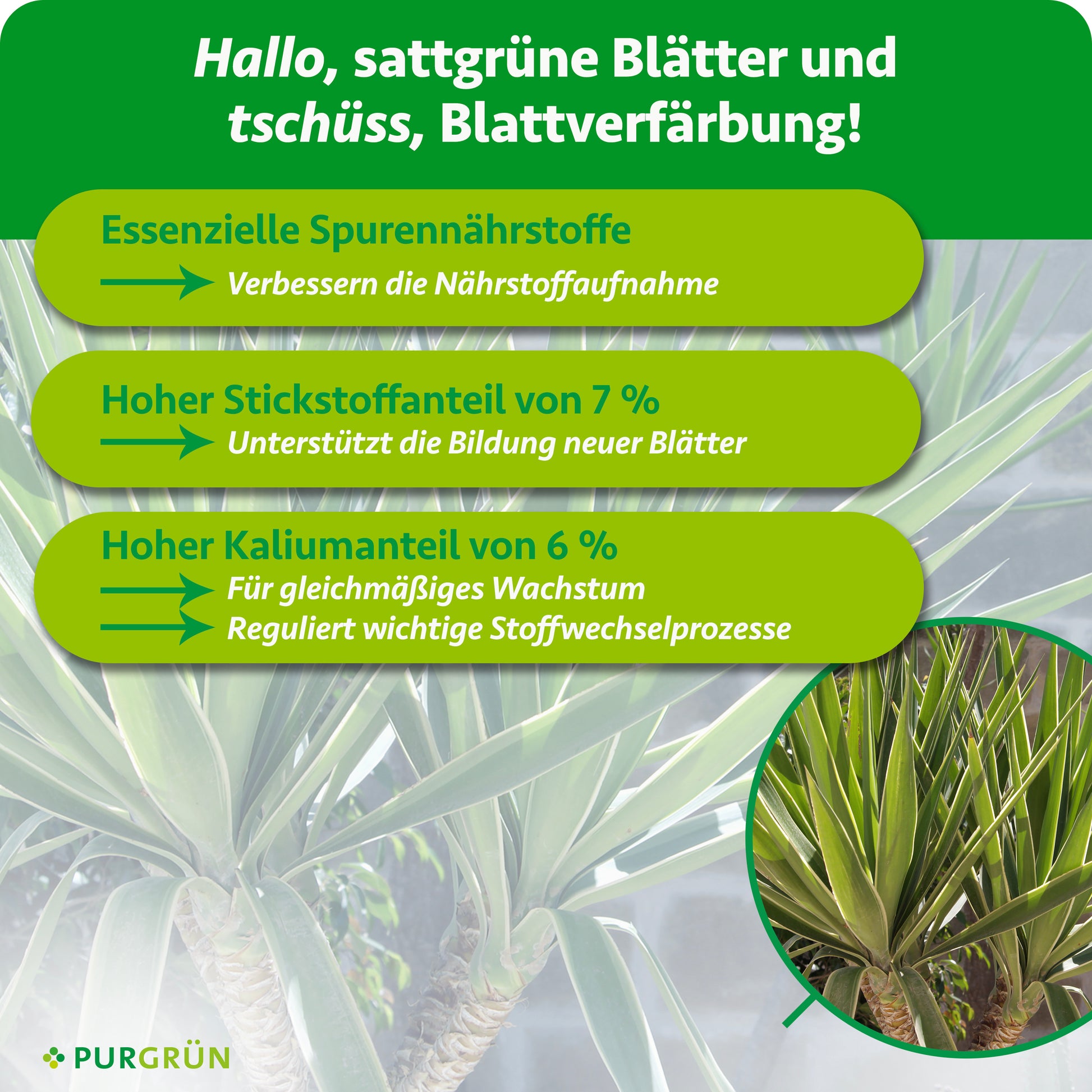 Purgrün Yucca-Dünger 1 Liter