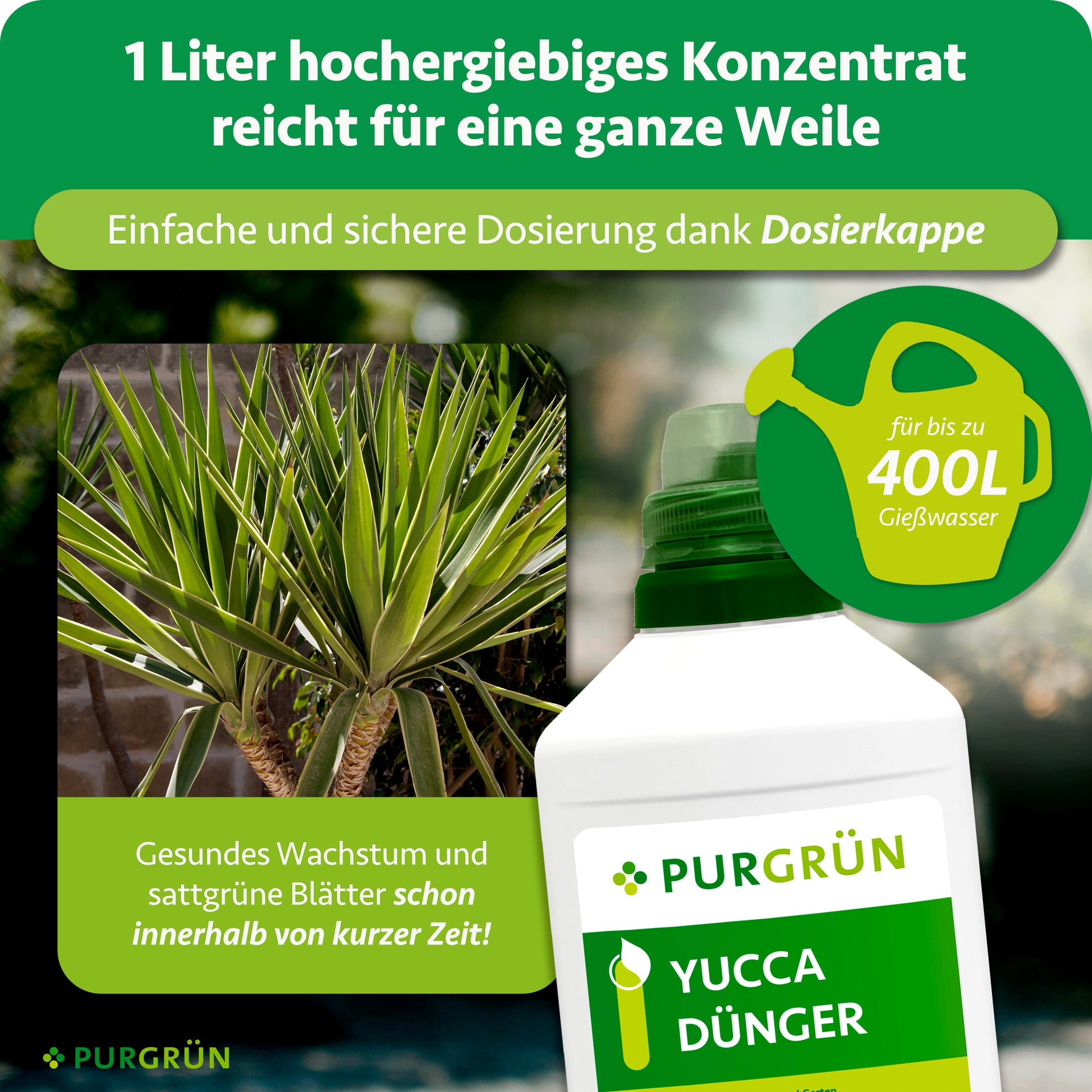 Purgrün Yucca-Dünger 1 Liter