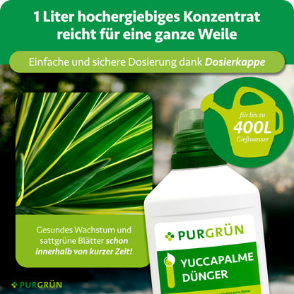Yucca-Palme-Dünger 1 Liter