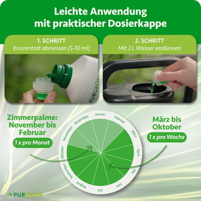 Yucca-Palme-Dünger 1 Liter