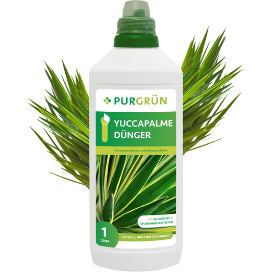 Yucca-Palme-Dünger 1 Liter