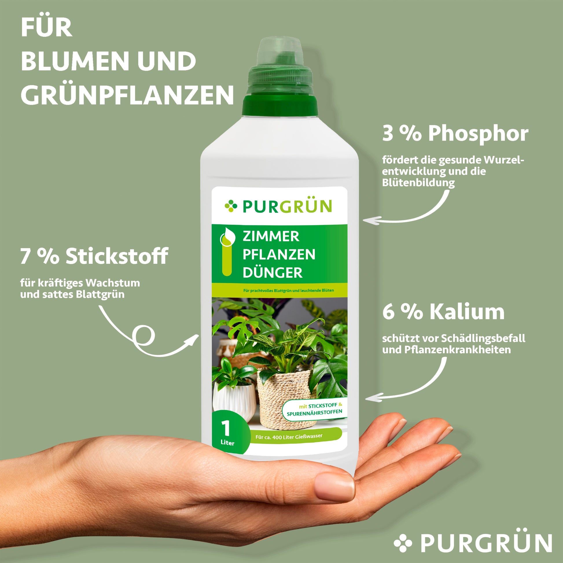 Eine Hand hält eine 1-Liter-Flasche Purgrün Zimmerpflanzen-Dünger. Der Text zeigt die Nährstoffe: 7 % Stickstoff, 3 % Phosphor, 6 % Kalium – ideal für Wachstum und Blüte von Zimmerpflanzen. Der grüne Hintergrund betont die Vorteile für die Pflanzenpflege.