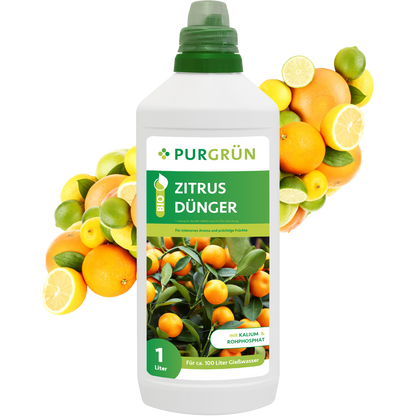 Eine 1-Liter-Flasche Purgrün Bio-Zitrusdünger für Zitruspflanzen mit Zitrusfruchtbildern auf dem Etikett steht vor einer lebendigen Mischung aus ganzen und geschnittenen Orangen, Zitronen und Limetten.
