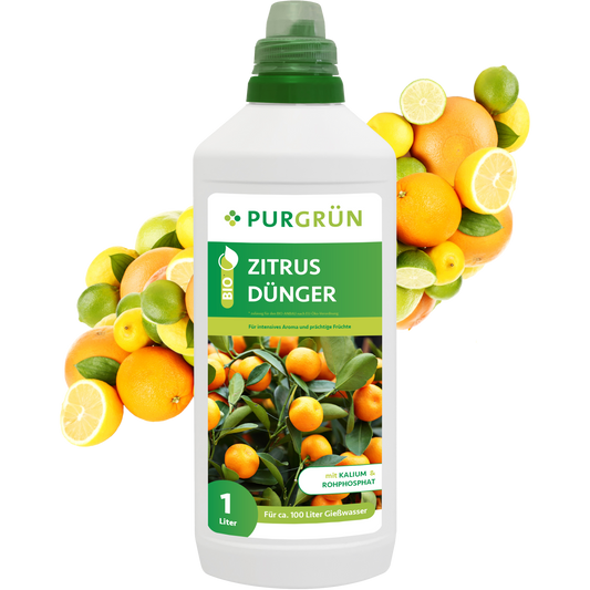 Eine 1-Liter-Flasche Purgrün Bio-Zitrusdünger für Zitruspflanzen mit Zitrusfruchtbildern auf dem Etikett steht vor einer lebendigen Mischung aus ganzen und geschnittenen Orangen, Zitronen und Limetten.