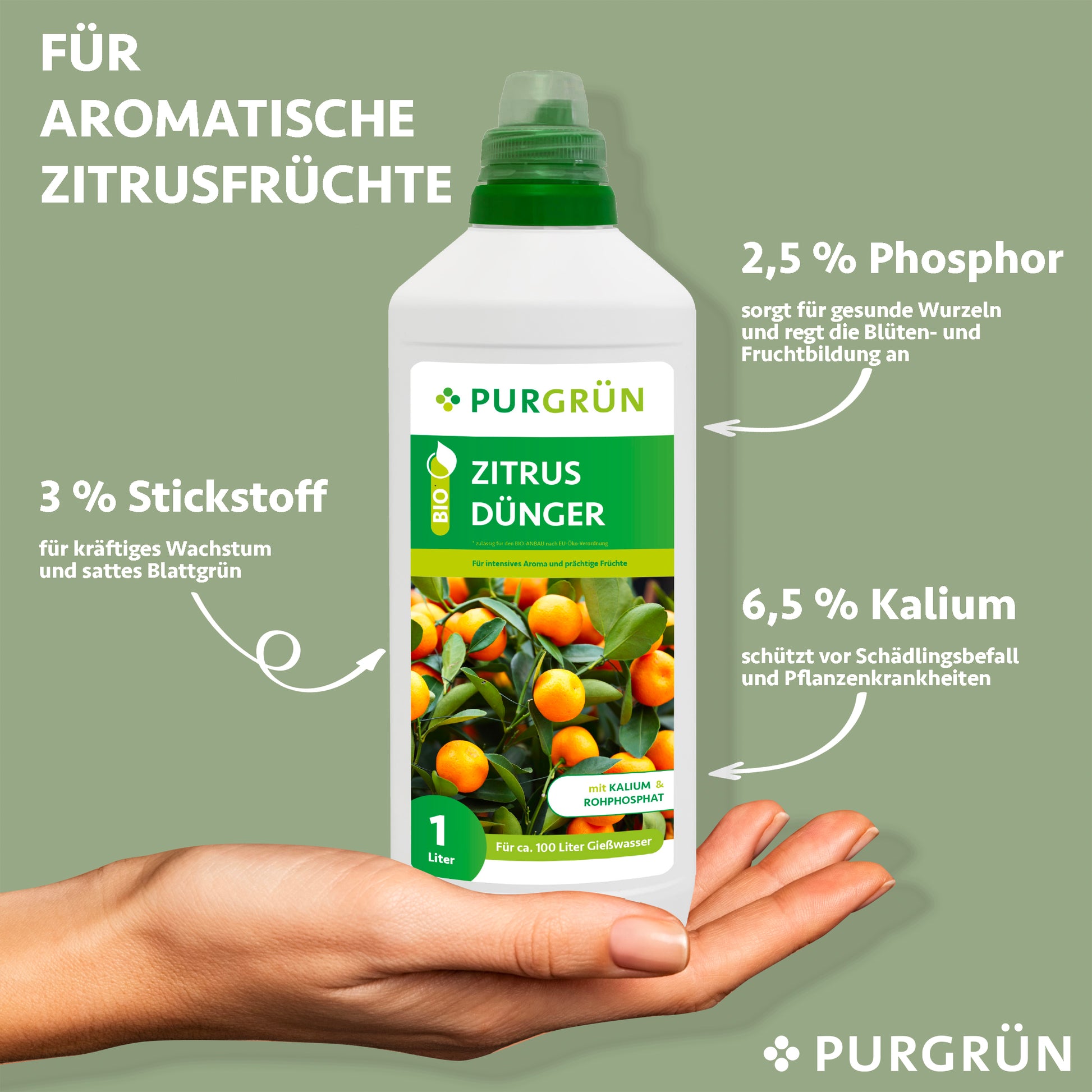 Eine Hand hält eine 1-Liter-Flasche Purgrün Bio-Zitrusdünger. Auf dem Etikett steht: 3 % Stickstoff, 2,5 % Phosphor und 6,5 % Kalium für kräftiges Wachstum, gesunde Wurzeln, kräftige Fruchtbildung und allgemeine Pflanzenvitalität.