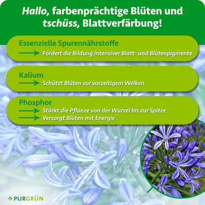 Essenzielle Spurennährstoffe fördern intensive Blatt- und Blütenpigmente, Kalium schützt vor vorzeitigem Welken und Phosphor stärkt die Pflanze und versorgt Blüten mit Energie.