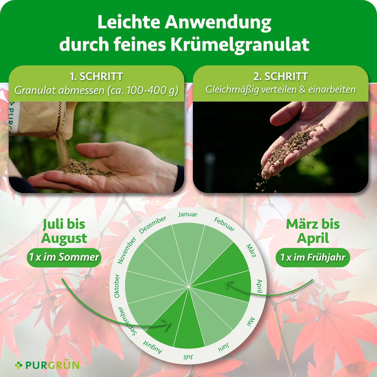 Anwendung: ca. 100–400 g Granulat abmessen, gleichmäßig verteilen und einarbeiten. Je einmal im März bis April und Juli bis August düngen.