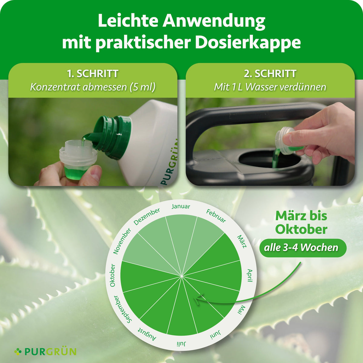 Anwendung: 5 ml Konzentrat mit der Dosierkappe abmessen und mit 1 L Wasser verdünnen. Von März bis Oktober alle 3–4 Wochen düngen.