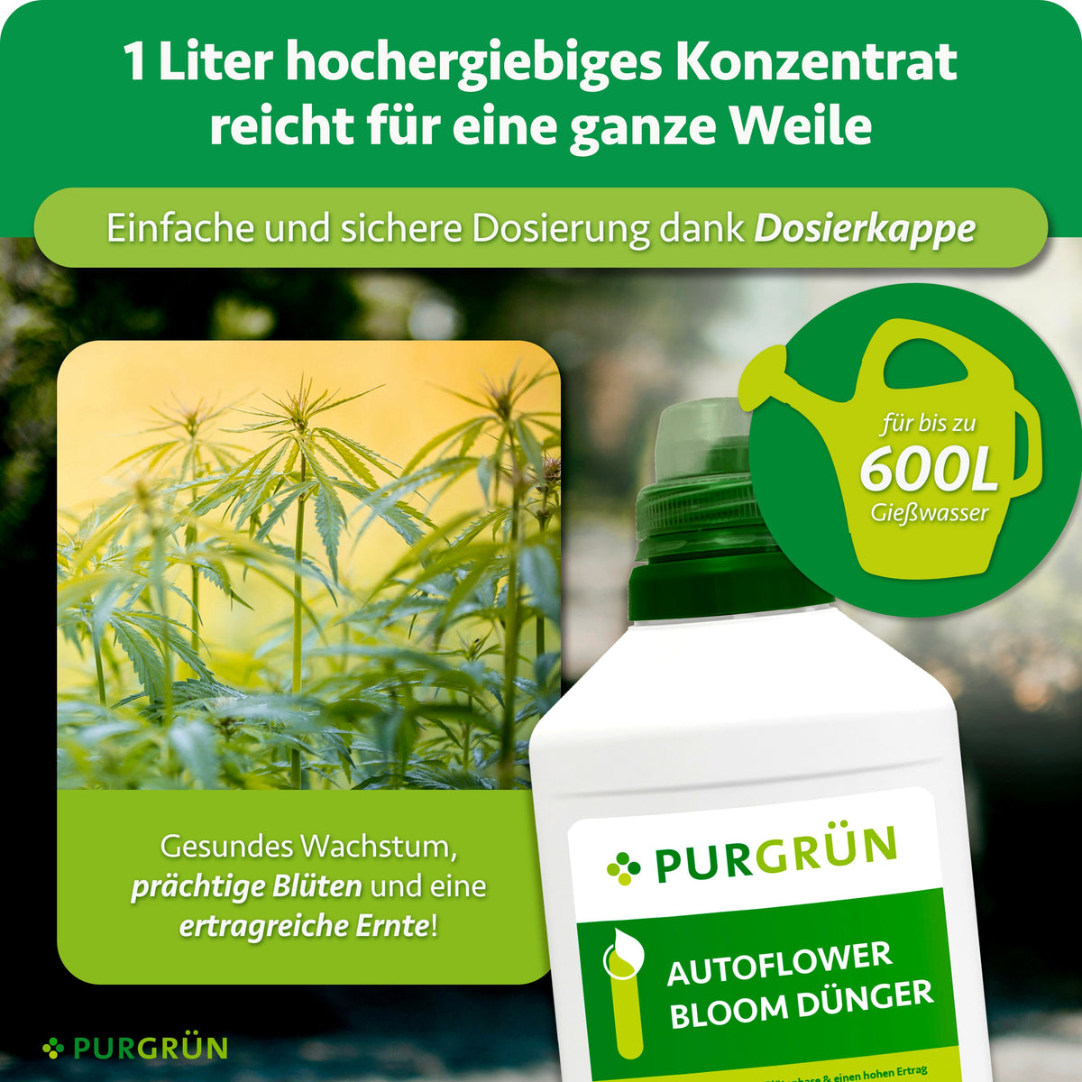 1 Liter hochergiebiges Konzentrat mit Dosierkappe reicht für bis zu 600 Liter Gießwasser.