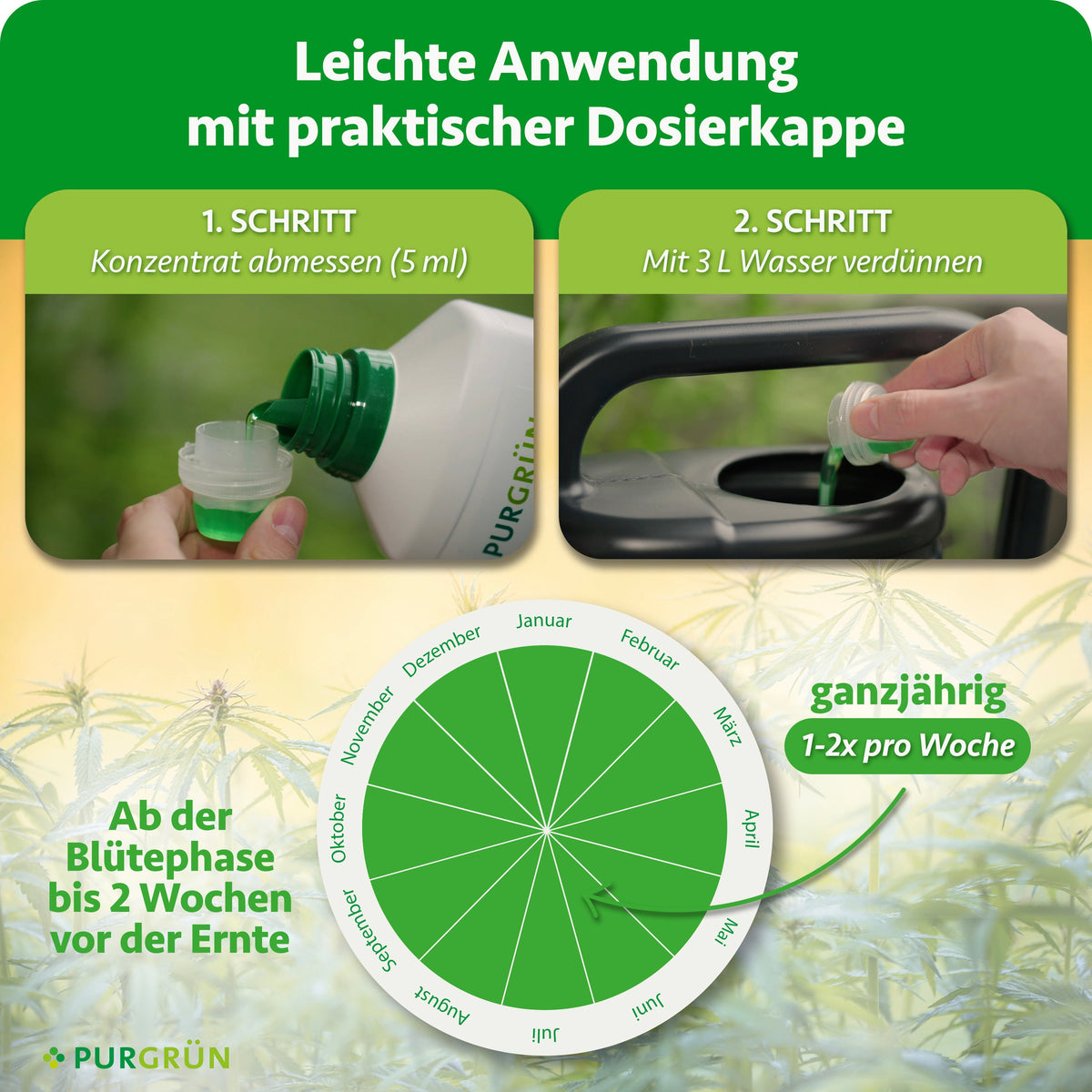 Anwendung: 5 ml Konzentrat mit 3 Litern Wasser verdünnen und ab der Blütephase bis 2 Wochen vor der Ernte ganzjährig 1–2-mal pro Woche verwenden.