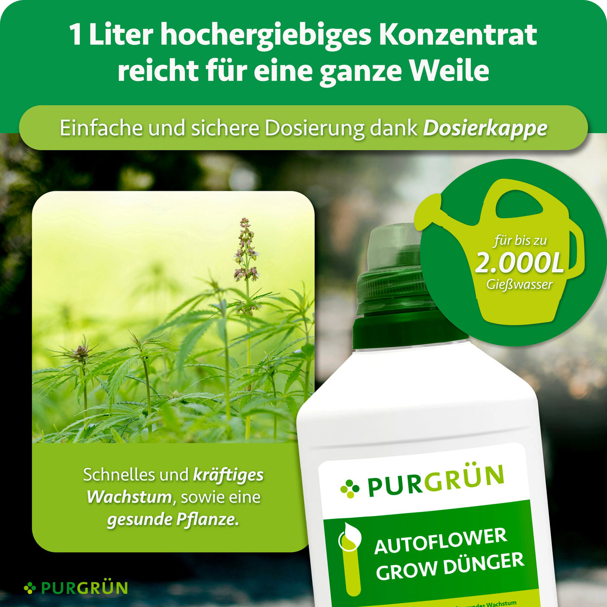 1 Liter Konzentrat reicht für bis zu 2.000 Liter Gießwasser; die Dosierkappe ermöglicht eine einfache und sichere Dosierung.