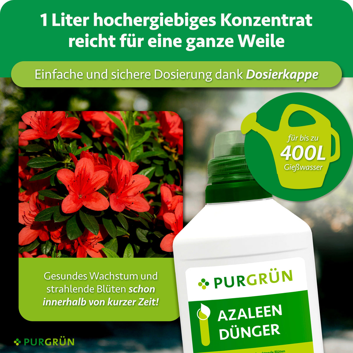 1 Liter ergiebiges Konzentrat mit Dosierkappe reicht für bis zu 400 Liter Gießwasser; daneben blühende rote Azaleen.