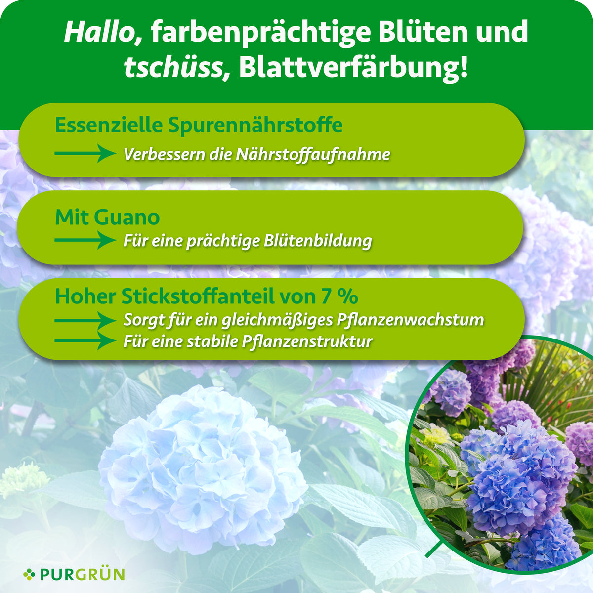 Essenzielle Spurennährstoffe verbessern die Nährstoffaufnahme und 7 % Stickstoff fördern gleichmäßiges Wachstum sowie eine stabile Pflanzenstruktur. Mit Guano für eine prächtige Blütenbildung.