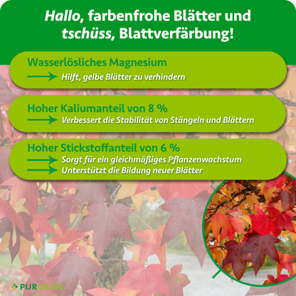 Wasserlösliches Magnesium hilft, gelbe Blätter zu verhindern; 8 % Kalium verbessern die Stabilität von Stängeln und Blättern, 6 % Stickstoff fördert gleichmäßiges Wachstum und neue Blätter.