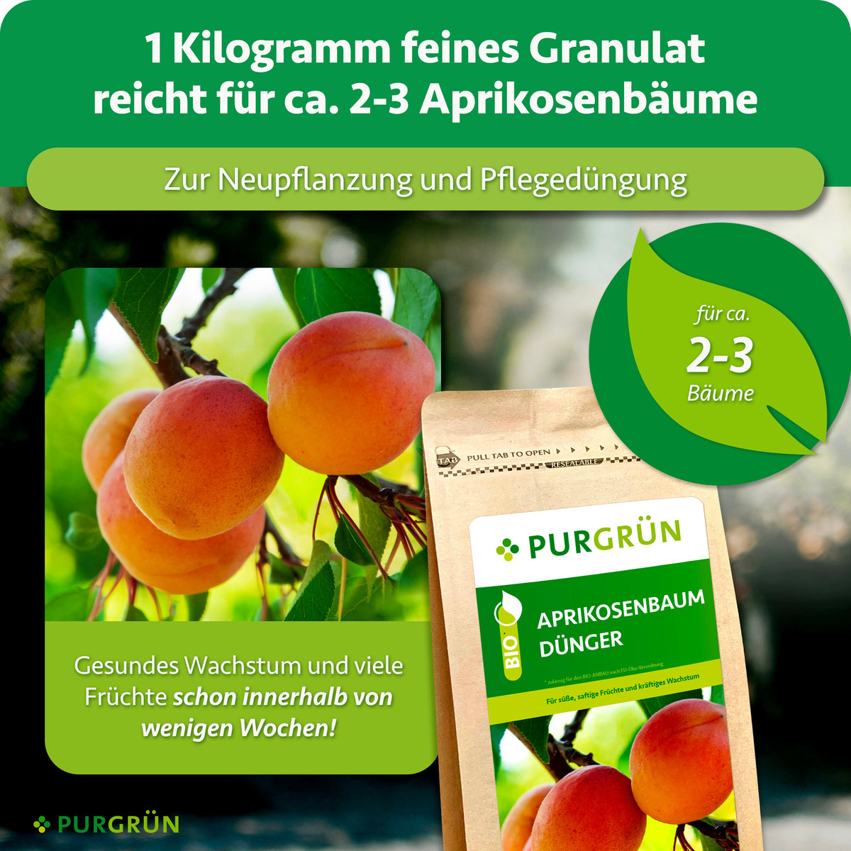 1 kg feines Granulat reicht für ca. 2–3 Aprikosenbäume und eignet sich zur Neupflanzung und Pflegedüngung. Die Darstellung verspricht gesundes Wachstum und viele Früchte schon innerhalb weniger Wochen.