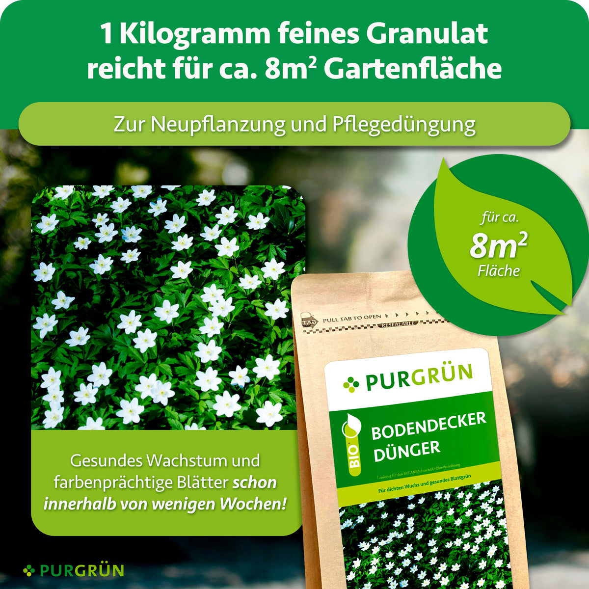 1 kg feines Granulat reicht für ca. 8 m² Gartenfläche und eignet sich zur Neupflanzung und Pflegedüngung.