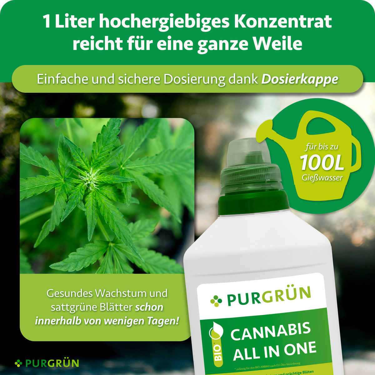 Ein Liter Konzentrat mit Dosierkappe reicht für bis zu 100 Liter Gießwasser und fördert laut Infografik innerhalb weniger Tage gesundes Wachstum und sattgrüne Blätter.