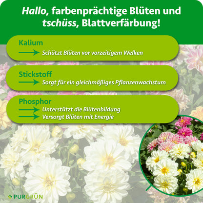 Kalium schützt Blüten vor vorzeitigem Welken, Stickstoff sorgt für gleichmäßiges Pflanzenwachstum und Phosphor unterstützt die Blütenbildung und Energieversorgung.