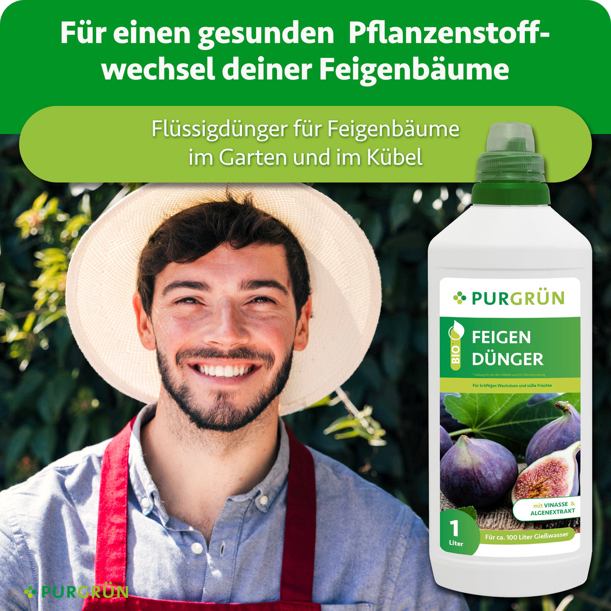 Flüssigdünger für Feigenbäume im Garten und Kübel, dargestellt neben einem lächelnden Gärtner.