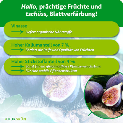 Vinasse liefert organische Nährstoffe; 7 % Kalium fördern Reife und Fruchtqualität, 4 % Stickstoff gleichmäßiges Wachstum und eine stabile Pflanzenstruktur.
