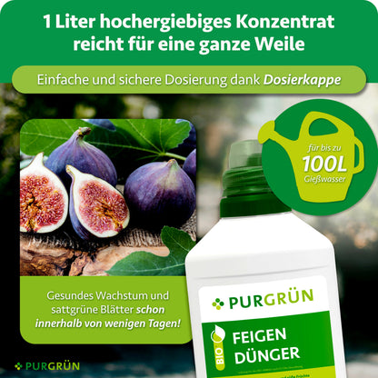 1 Liter Konzentrat mit Dosierkappe reicht für bis zu 100 Liter Gießwasser und soll innerhalb weniger Tage gesundes Wachstum und sattgrüne Blätter fördern.