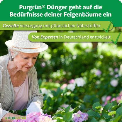 Purgrün Bio-Feigendünger: gezielte Versorgung mit pflanzlichen Nährstoffen, von Experten in Deutschland entwickelt.