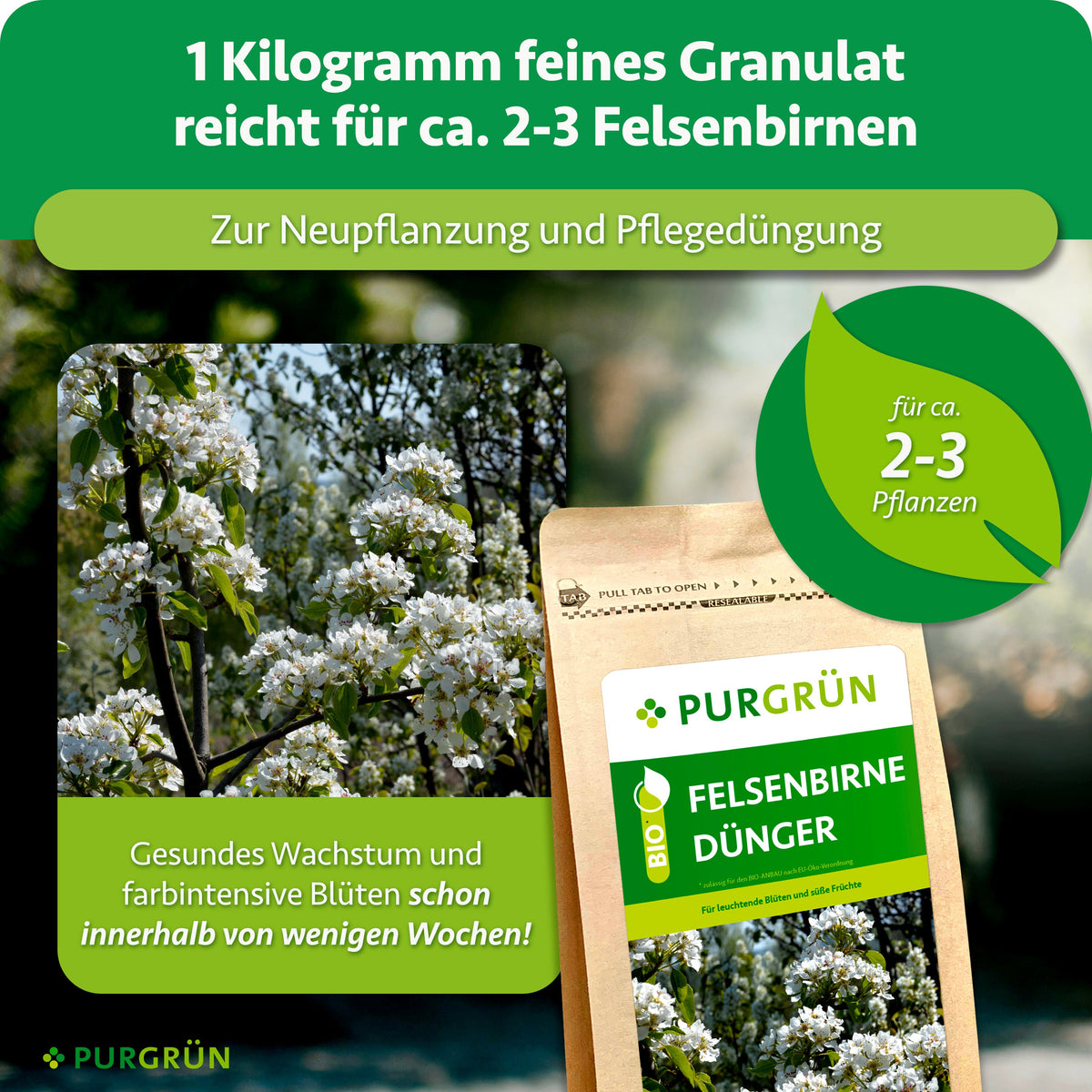 1 kg feines Granulat reicht für ca. 2–3 Felsenbirnen und eignet sich zur Neupflanzung und Pflegedüngung. Gesundes Wachstum und farbintensive Blüten innerhalb weniger Wochen.