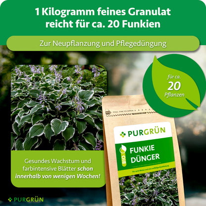 1 kg feines Granulat reicht für ca. 20 Funkien und eignet sich zur Neupflanzung sowie Pflegedüngung. Hervorgehoben werden gesundes Wachstum und farbintensive Blätter innerhalb weniger Wochen.