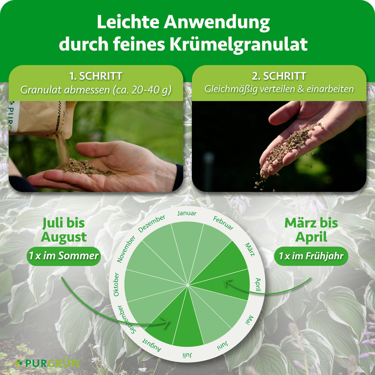 Ca. 20–40 g Granulat abmessen, gleichmäßig verteilen und einarbeiten. Einmal im Frühjahr von März bis April und einmal im Sommer von Juli bis August düngen.