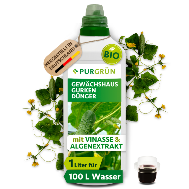 Purgrün Bio-Gewächshausgurken-Dünger im 1-Liter-Kanister mit Dosierkappe, Gurkenranken und dem Hinweis „für ca. 100 Liter Gießwasser“.