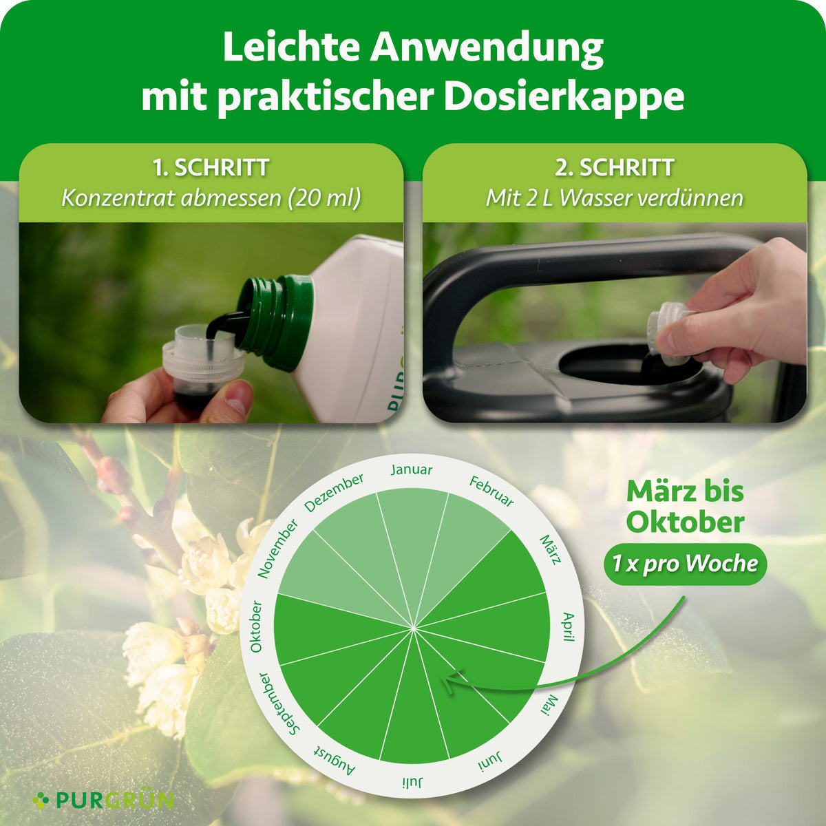 Anwendung: 20 ml Konzentrat abmessen, mit 2 L Wasser verdünnen und von März bis Oktober 1x pro Woche düngen.