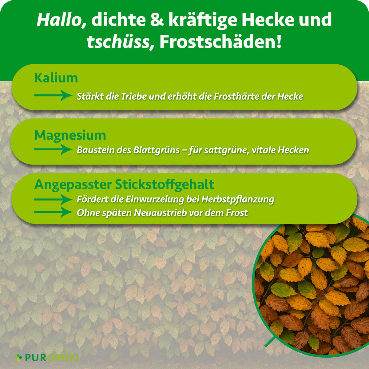 Bio-Herbst-Heckendünger