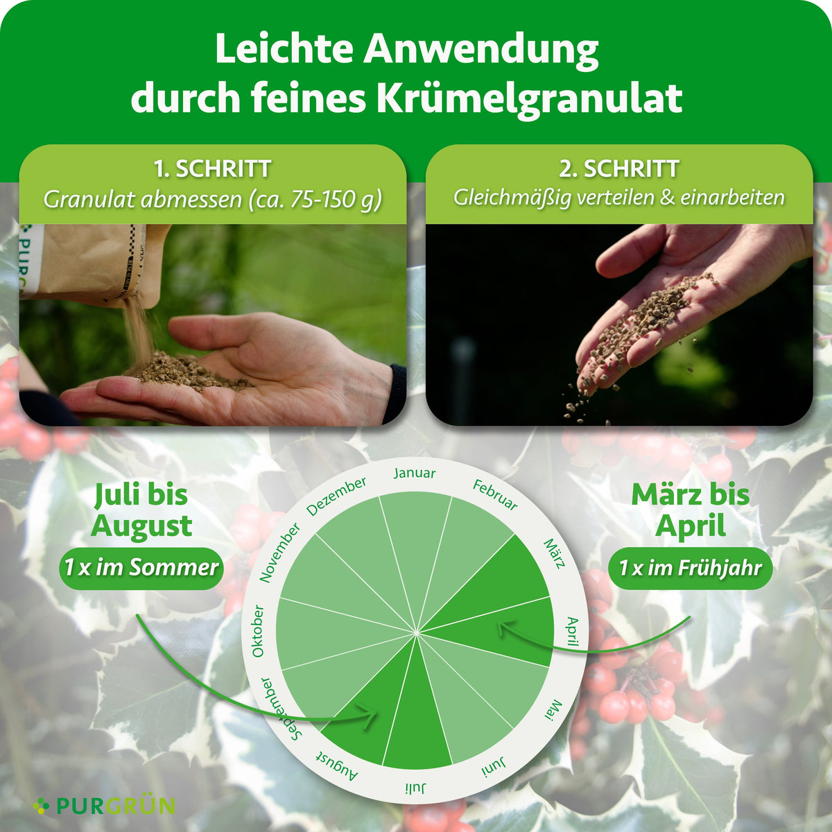 Je Pflanze ca. 75–150 g Granulat abmessen, gleichmäßig verteilen und einarbeiten. Einmal im Frühjahr von März bis April und einmal im Sommer von Juli bis August anwenden.