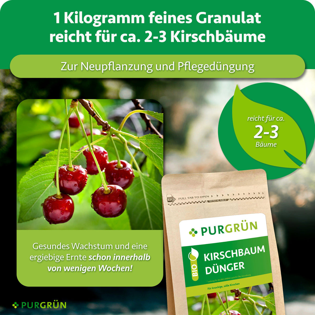 1 kg feines Granulat reicht für ca. 2–3 Kirschbäume und eignet sich zur Neupflanzung und Pflegedüngung.