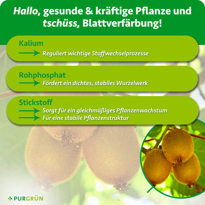 Kalium reguliert wichtige Stoffwechselprozesse, Rohphosphat fördert ein dichtes, stabiles Wurzelwerk und Stickstoff unterstützt gleichmäßiges Wachstum sowie eine stabile Pflanzenstruktur.