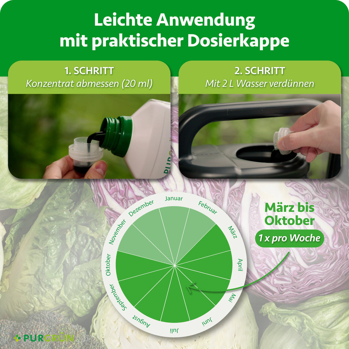 Anwendung: 20 ml Konzentrat abmessen und mit 2 L Wasser verdünnen. Von März bis Oktober 1× pro Woche anwenden.