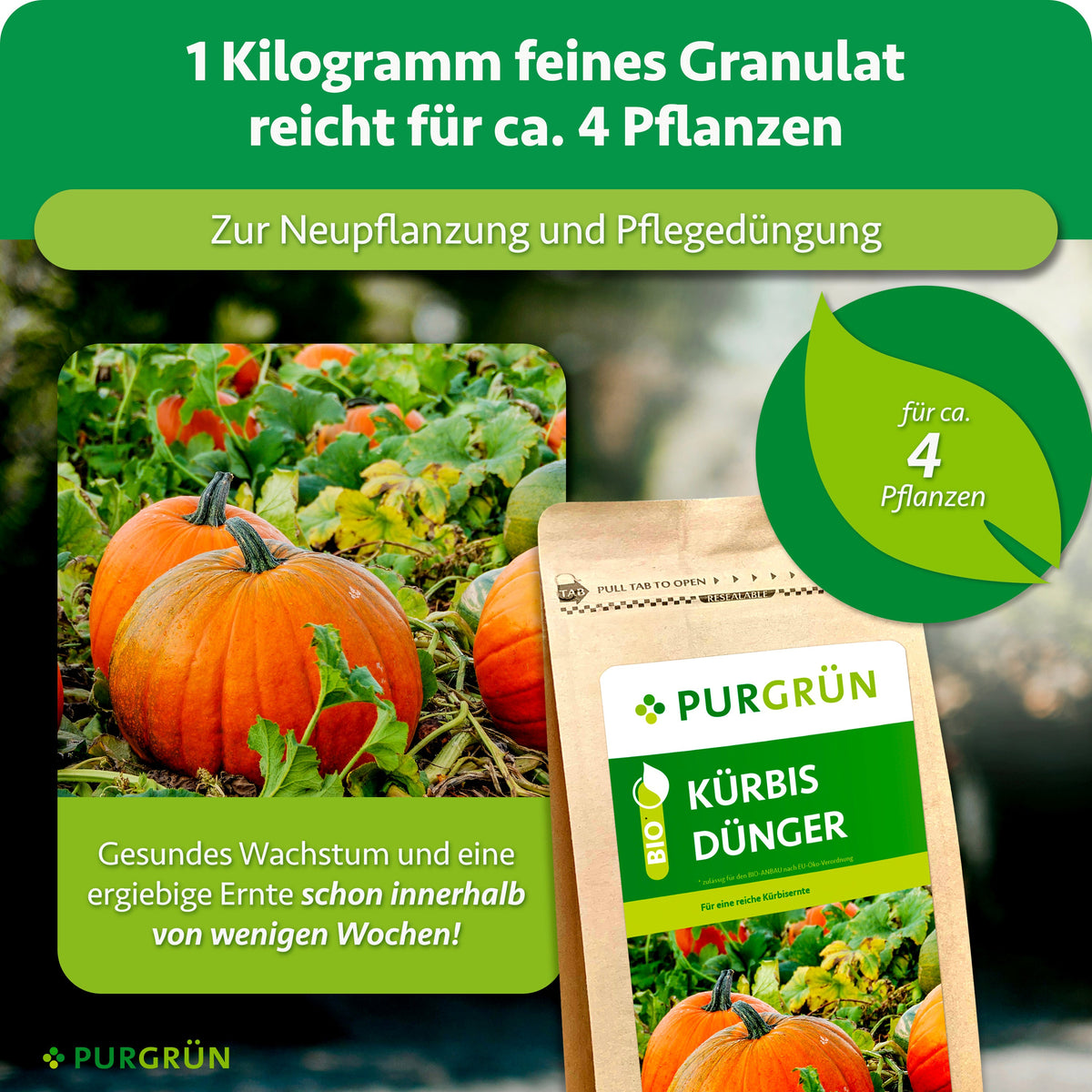 1 kg feines Granulat reicht für ca. 4 Pflanzen und eignet sich zur Neupflanzung und Pflegedüngung.