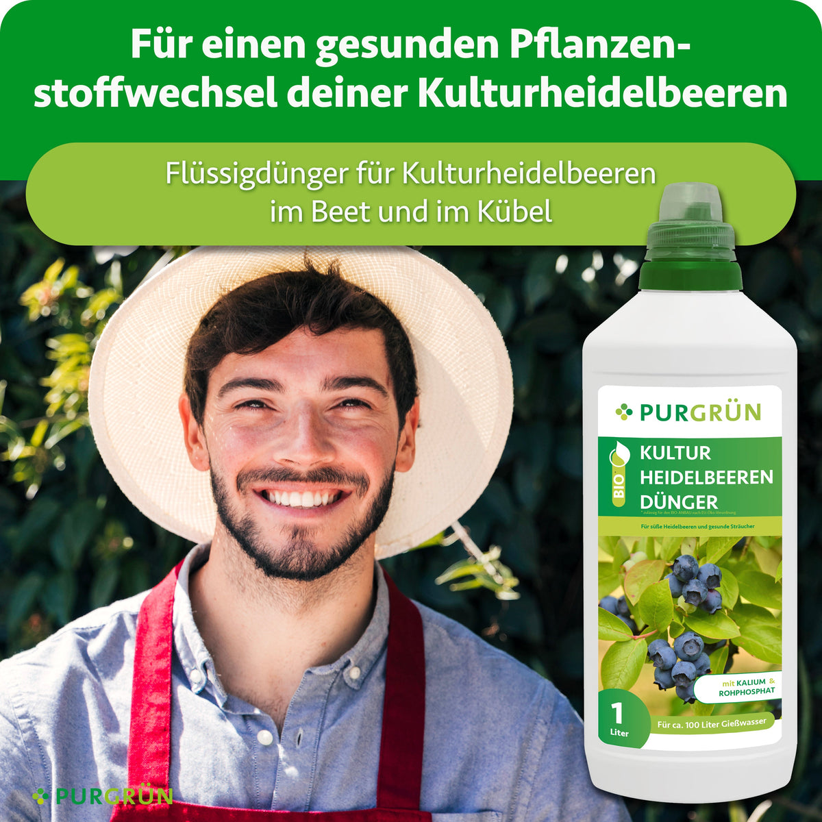 Flüssigdünger für einen gesunden Pflanzenstoffwechsel von Kulturheidelbeeren im Beet und im Kübel, dargestellt neben einem lächelnden Gärtner.