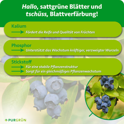 Kalium fördert Reife und Fruchtqualität, Phosphor das Wachstum kräftiger, verzweigter Wurzeln und Stickstoff eine stabile Pflanzenstruktur sowie gleichmäßiges Wachstum.
