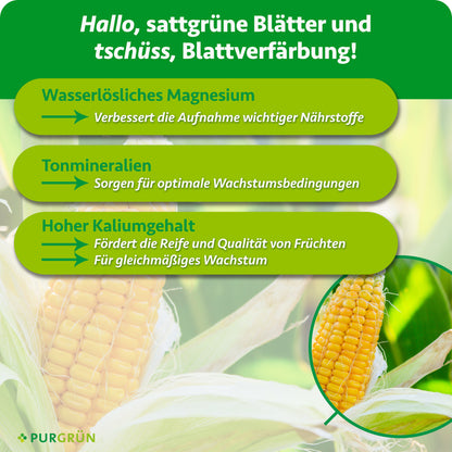 Wasserlösliches Magnesium verbessert die Nährstoffaufnahme, Tonmineralien schaffen optimale Wachstumsbedingungen. Hoher Kaliumgehalt fördert Reife, Fruchtqualität und gleichmäßiges Wachstum.