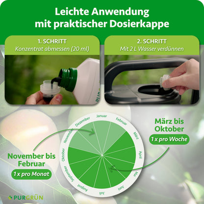 20 ml Konzentrat abmessen und mit 2 Litern Wasser verdünnen. März bis Oktober einmal pro Woche, November bis Februar einmal pro Monat anwenden.